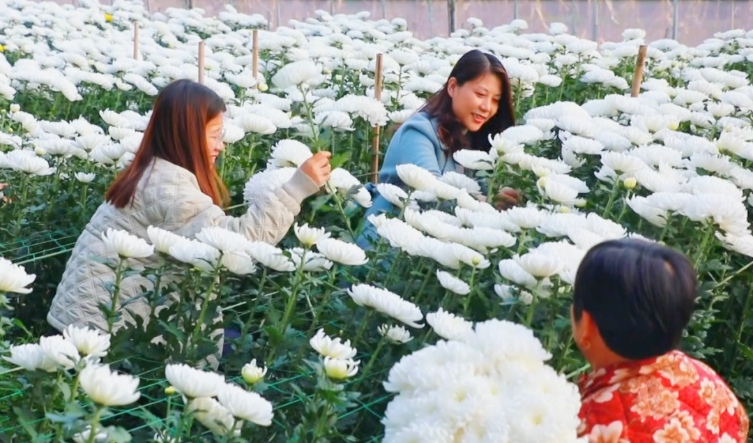 �F�ǅ^(q��)���ջ������M�ء���