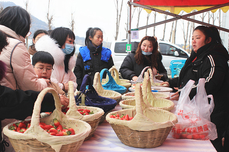 ��ݮ�h��c�´� | ���f�(zh��n)��ɽ�ڲ�ݮ��ժ��Ȥ���������w�e����ζ