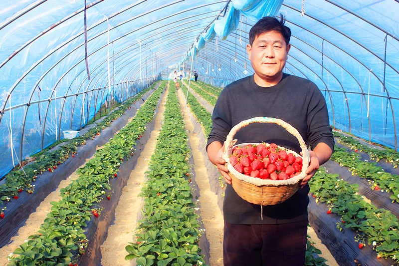 2025��ɽ�|��ݮ�a(ch��n)�I(y��)���(hu��)�A�M���_�����f���R�ϲ�ݮ�@��ժ�ý�(ji��ng)