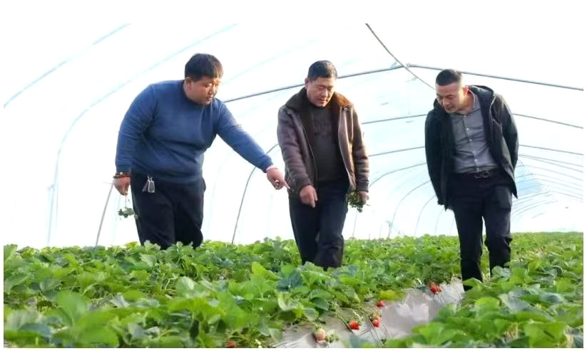 �R�Ⱥ󣺘s�@���r(sh��)����������|(zh��)���l(f��)չʮ��ܳ����^�ˡ��s�u(y��)�Q̖(h��o)